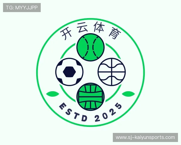 关于开云官网入口